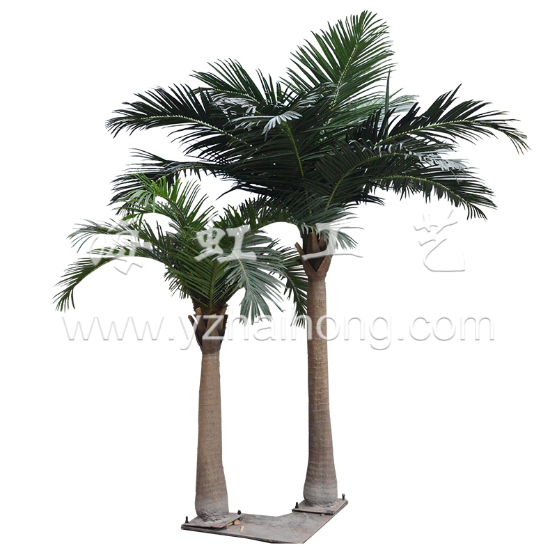 Coconut palm series